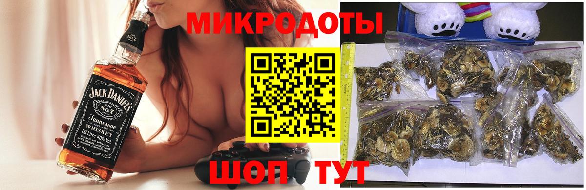 Псилоцибиновые грибы Psilocybine cubensis Благовещенск