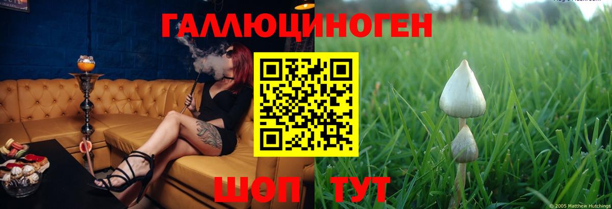 Галлюциногенные грибы ЛСД  Вход с VPN  Галлюциногенные грибы ЛСД  Благовещенск 